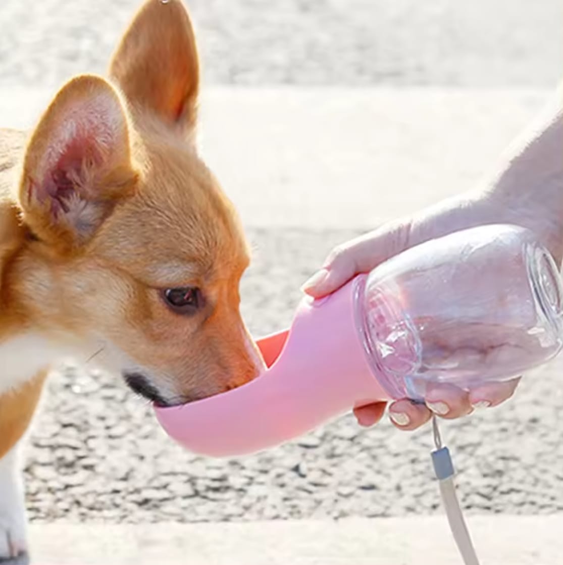 Reiseflasche für Hunde 350 ml, rosa