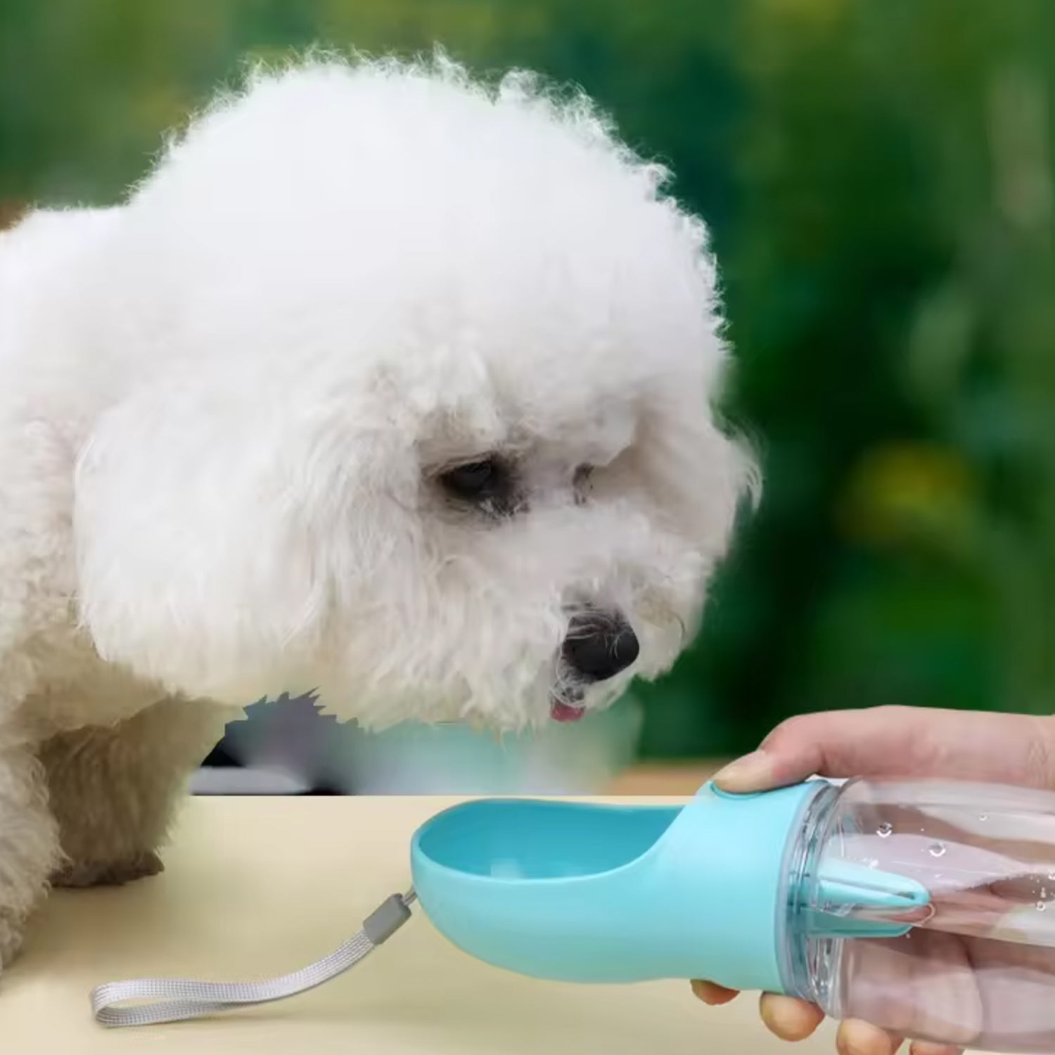 Reiseflasche für Hunde 350 ml, türkis